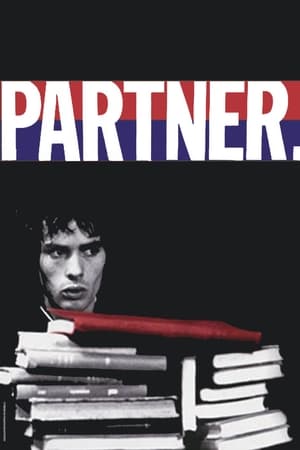 Partner poszter