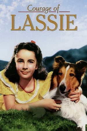 Lassie bátorsága poszter