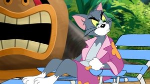 Tom és Jerry újabb kalandjai 1. évad Ep.5 Itt a bőrönd, hol a bőrönd?