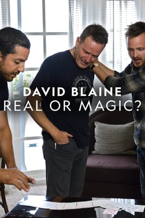 David Blaine: Valóság vagy varázslat? poszter