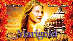 Marigold háttérkép