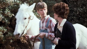 The Waltons Season 5 Ep.18 18. epizód