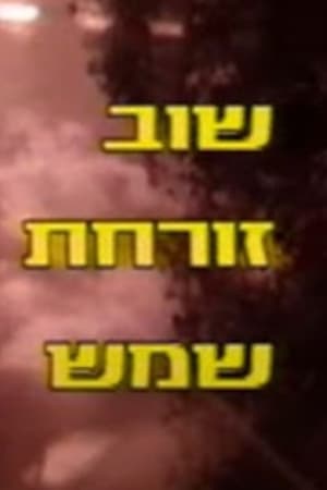 שוב זורחת שמש