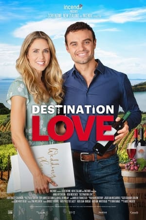 Destination Love poszter