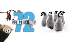 72 Cutest Animals kép