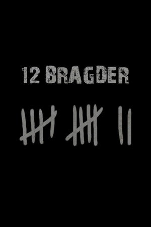 12 bragder poszter