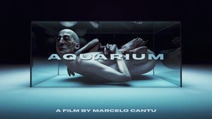 Aquarium háttérkép