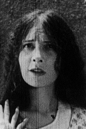 Nora Newsome profil kép