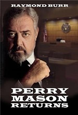 Perry Mason Returns poszter