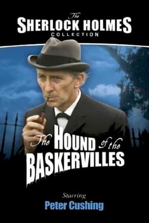 Sherlock Holmes: The Hound of the Baskervilles