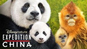 Expedition China háttérkép