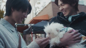 コントラスト kép