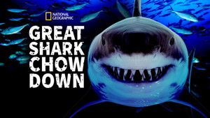 Great Shark Chow Down háttérkép