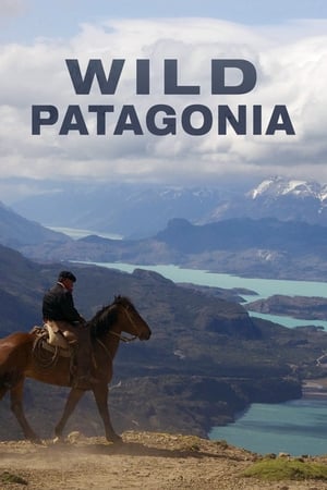 Patagónia vadvilága poszter