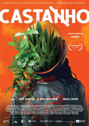 Castanho poszter