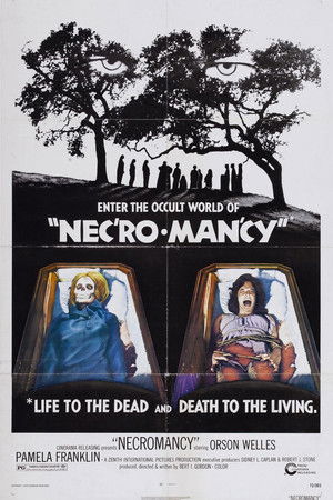Necromancy poszter