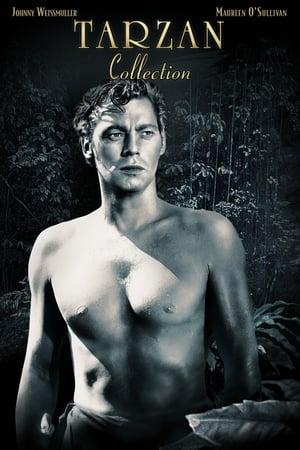 Tarzan (Johnny Weissmuller) filmek