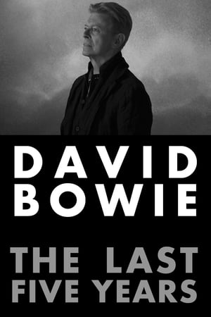 David Bowie: The Last Five Years poszter