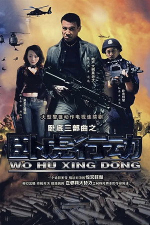卧虎行动 poszter