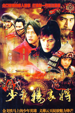 少年杨家将 poszter