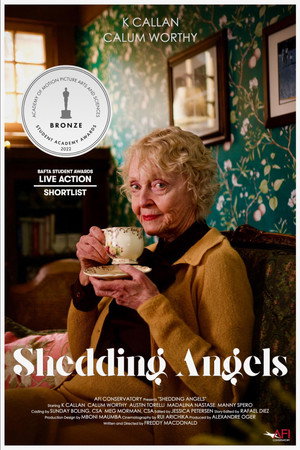 Shedding Angels poszter