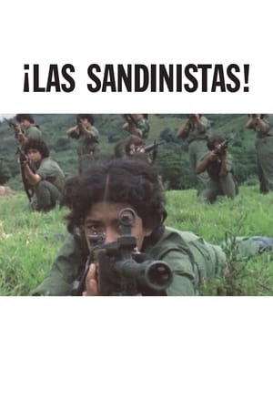 ¡Las Sandinistas! poszter