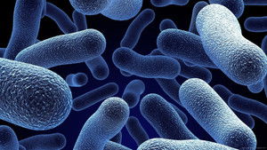 Bacterial World háttérkép