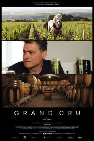 Grand Cru poszter