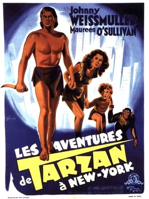 Tarzan New Yorkban poszter