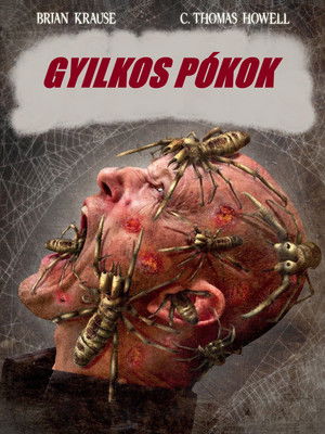 Gyilkos pókok