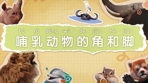 斑马百科 9. évad Ep.3 3. epizód