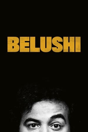 Belushi poszter