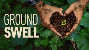 Groundswell háttérkép