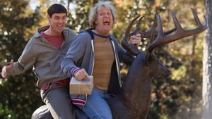 Dumb és Dumber kettyó háttérkép