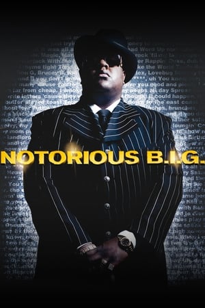 NOTORIOUS B.I.G. - A N.A.GY. rapper poszter