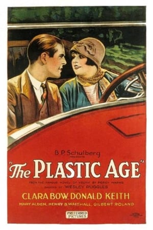 The Plastic Age poszter