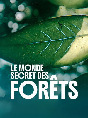 The Forest poszter