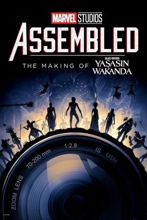 Assembled: Fekete Párduc 2. werkfilm poszter