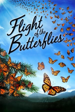 Flight of the Butterflies poszter