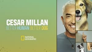 Cesar Millan: Jó gazdi, jó kutya kép