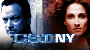 CSI: New York-i helyszínelők kép