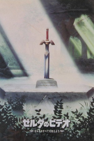 The Video of Zelda: Everything About Zelda poszter