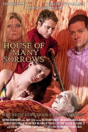 House of Many Sorrows poszter