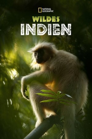 Vad India poszter