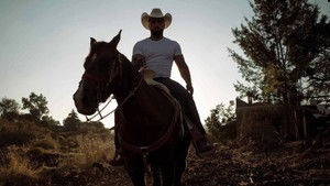 Jaripeo háttérkép