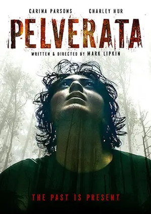 Pelverata poszter