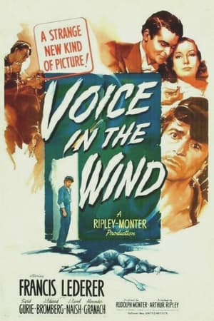 Voice in the Wind poszter