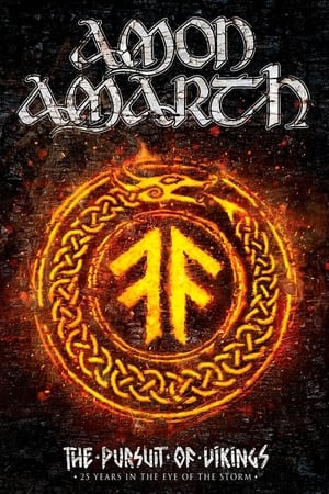 Amon Amarth: The Pursuit Of Vikings - Live At Summer Breeze 2017 poszter