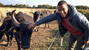 Countryfile 31. évad Ep.46 46. epizód