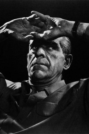 Boris Karloff profil kép